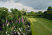 BOX- EDGED BORDERS WITH ROSES AND FOXGLOVES AT OZLEWORTH PARK, GLOUCESTERSHIRE