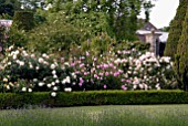 FORMAL BOX-EDGED ROSE GARDEN AT OZLEWORTH PARK, GLOUCESTERSHIRE