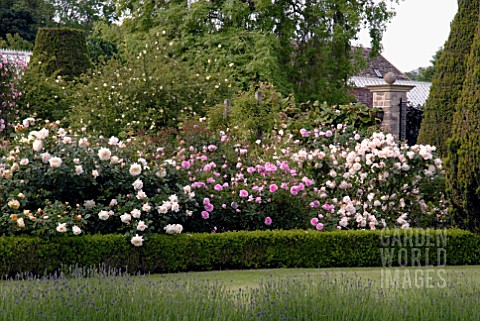 FORMAL_BOXEDGED_ROSE_GARDEN_AT_OZLEWORTH_PARK_GLOUCESTERSHIRE