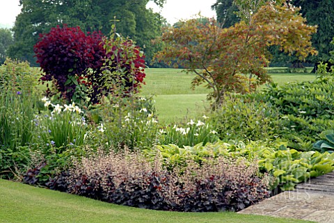 MIXED_BORDER_WITH_HEUCHERA_EBONY_AND_IVORY_IN_FOREGROUND_AT_OZLEWORTH_PARK_GLOUCESTERSHIRE