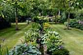 THE RILL GARDEN AT OZLEWORTH PARK, GLOUCESTERSHIRE