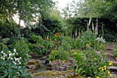 SHADE AND MOISTURE LOVING PLANTS IN THE RILL GARDEN AT OZLEWORTH PARK, GLOUCESTERSHIRE