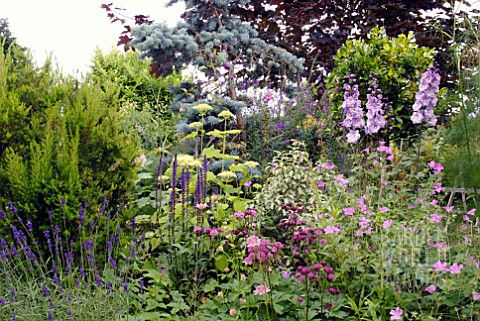 COTTAGE_GARDEN_MIXED_BORDER