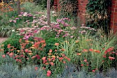 CEDAR NURSERY SHOW GARDEN IN DAILY MAIL PAVILLION AT RHS HAMPTON COURT 2008