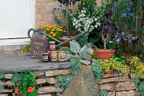 FRONT_DOOR_STEP_OF_COTTAGE_IN_WINCHESTER_GROWERS_SHOW_GARDEN_IN_DAILY_MAIL_PAVILLION_AT_RHS_HAMPTON_