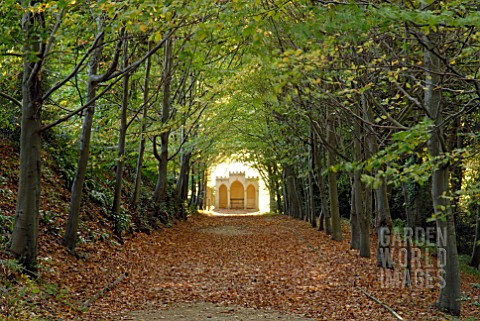 BEECH_AVENUE_AT_PAINSWICK_ROCOCO_GARDEN_GLOUCESTERSHIRE