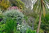 ABBOTSBURY SUB-TROPICAL GARDEN IN DORSET