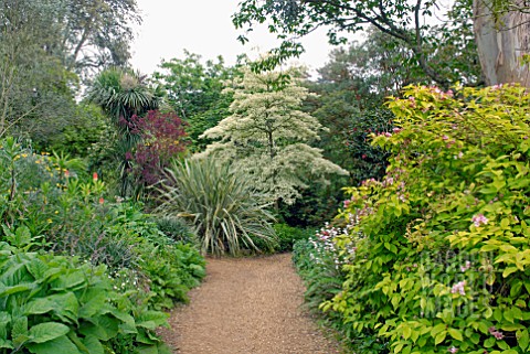 ABBOTSBURY_SUBTROPICAL_GARDEN_IN_DORSET