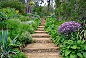 STONE STEPS AT ABBOTSBURY SUB-TROPICAL GARDEN IN DORSET