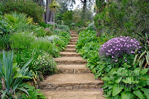 STONE_STEPS_AT_ABBOTSBURY_SUBTROPICAL_GARDEN_IN_DORSET