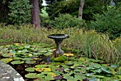 POND AND WATER FEATURE AT BROBURY HOUSE GARDENS,  BREDWARDINE,  HEREFORDSHIRE