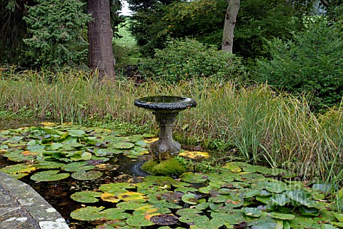 POND_AND_WATER_FEATURE_AT_BROBURY_HOUSE_GARDENS__BREDWARDINE__HEREFORDSHIRE