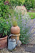 WATERING CAN AND TERRACOTTA POTS IN FRONT OF BORDER