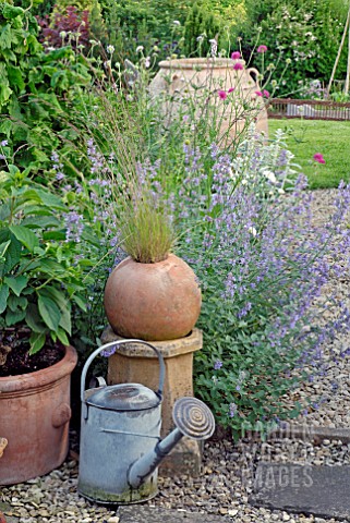 WATERING_CAN_AND_TERRACOTTA_POTS_IN_FRONT_OF_BORDER