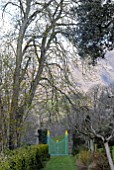 AVENUE LEADING TO GATE AT PLAS BRONDANW, GWYNEDD, WALES