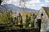 TOPIARY AT PLAS BRONDANW, GWYNEDD, WALES