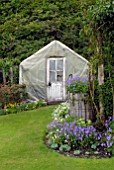 PLASTIC COVERED GREENHOUSE AND GERANIUMS IN BORDER