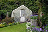 PLASTIC COVERED GREENHOUSE AND GERANIUMS IN BORDER