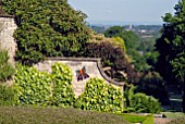 GLASS BUTTERFLY ON STONE WALL AND VIEW TO SEVERN BRIDGE AT CAMERS, OLD SODBURY, BRISTOL