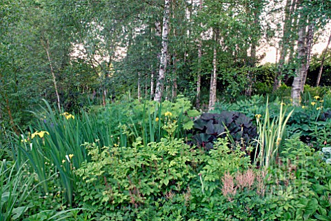 WOODLAND_GARDEN_AT_CAMERS_OLD_SODBURY_BRISTOL