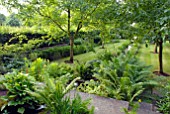 FERNS IN THE RILL GARDEN AT OZLEWORTH PARK, GLOUCESTERSHIRE