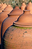 RHUBARB FORCING POTS