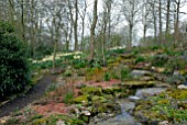 SPRING WOODLAND GARDEN AT OZLEWORTH PARK, GLOUCESTERSHIRE