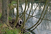 NESTING BOX FOR DUCKS BY LAKE