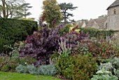 AUTUMN BORDER WITH COTINUS COGGYGRIA ROYAL PURPLE AT OZLEWORTH PARK, GLOUCESTERSHIRE