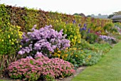 EARLY AUTUMN BORDER WITH SEDUM, ASTERS, RUDBECKIAS, HELIOPSIS, ACONITUM AND PENSTEMON