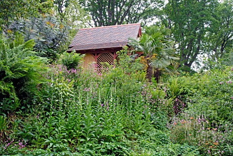 SUMMERHOUSE_IN_THE_HIMALAYAN_GLADE_AT_ABBOTSBURY_SUBTROPICAL_GARDEN