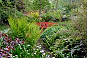 JAPANESE STYLE BRIDGE IN THE BOG GARDEN AT ABBOTSBURY SUB-TROPICAL GARDEN, DORSET