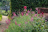 BORDER WITH PENSTEMON GARNET, PENSTEMON CLARET AND DAHLIAS AT CAMERS, GLOUCESTERSHIRE