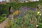 BORDER WITH SALVIA INDIGO SPIRES, VERBENA BONARIENSIS AND RUDBECKIA AT CAMERS, GLOUCESTERSHIRE