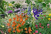 COLOURFUL PLANTING IN SHOW GARDEN AT MALVERN SPRING SHOW 2009, DESIGN BY JACK DUNKLEY