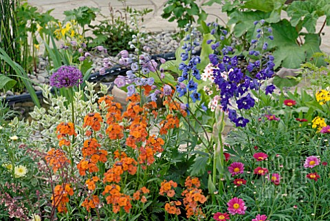 COLOURFUL_PLANTING_IN_SHOW_GARDEN_AT_MALVERN_SPRING_SHOW_2009_DESIGN_BY_JACK_DUNKLEY