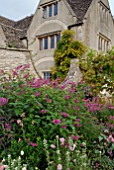 SALVIA INVOLUCRATA BETHELLII IN AUTUMN BORDER AT CAMERS, GLOUCESTERSHIRE