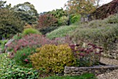 SEDUM, SPIREA AND FUSCHIA IN AUTUMN BORDER AT CAMERS, GLOUCESTERSHIRE