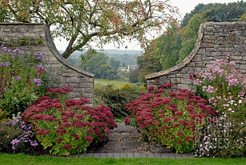 SEDUM_HERBSTFREUDE_IN_AUTUMN_BORDER_AT_CAMERS_GLOUCESTERSHIRE_WITH_FRAMED_VIEW_OF_LANDSCAPE