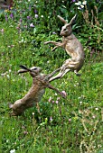 HARES IN SKY SHADES GARDEN