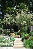 THE CANCER RESEARCH UK GARDEN BY ROBERT MYERS