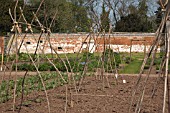 WALLED KITCHEN GARDEN