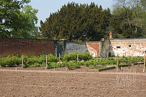 WALLED_FRUIT_AND_VEGETABLE_GARDEN