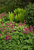 SHADY BORDER IN SPRING