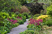 SPRING PATH IN APPLECROSS WALLED GARDEN - SCOTLAND