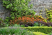 WALLED GARDEN APPLECROSS - SCOTLAND