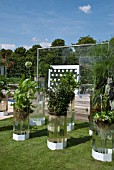 HAMPTON COURT FLOWER SHOW 2011 - THE NAKED GARDEN, DESIGNER:DAVID DOMONEY