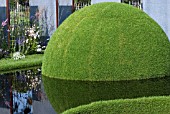 HAMPTON COURT FLOWER SHOW 2011 - THE WORLD VISION GARDEN  DESIGNED BY:FLEMONS WARLAND DESIGN