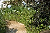 HAMPTON COURT FLOWER SHOW 2011 - WWFS 50TH ANNIVERSARY GARDEN - WHY WE CARE ABOUT CHALK STREAMS - DESIGNER:FIONA STEPHENSON