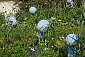 HAMPTON COURT FLOWER SHOW 2011 - WWFS 50TH ANNIVERSARY GARDEN - WHY WE CARE ABOUT CHALK STREAMS - DESIGNER:FIONA STEPHENSON